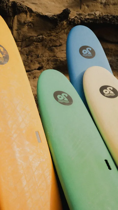 Soft-top surfboards lined up in the sun